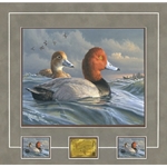 2022 Federal Duck Stamp MEDALLION EDITION - Pair of Redheads by James Hautman