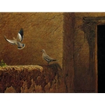Old Adobe - White Winged Doves by Robert Bateman