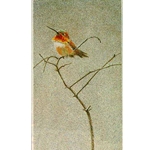 Rufous Hummingbird by Robert Bateman