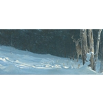 Whitetail in Winter by Robert Bateman