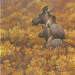 Fall Forage - Moose Cow and Calf by Robert Bateman