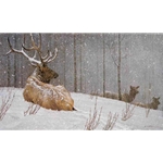 Evening Snowfall - American Elk by Robert Bateman