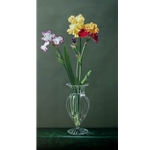 Garden Rainbow - Iris by floral artist Jane Jones