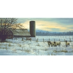 Winter Watch - Sheep on the Ranch by artist Paco Young