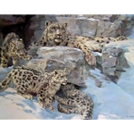 The Snow Queen - Snow Leopard and cubs by artist Donald Grant