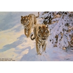 Siberian Snow Tigers by artist Donald Grant