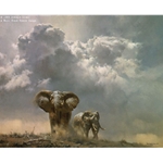 African Rains - Elephants by artist Donald Grant