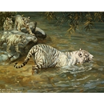 The Swimming Lesson White Tiger and cubs by artist Donald Grant