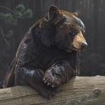 Logging On - portrait of a black bear by wildlife artist Dan Smith