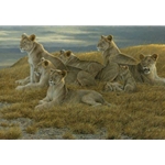 Family Gathering - Lioness and Cubs by Robert Bateman
