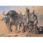 Cape Thunder - cape buffalo by John Banovich