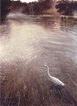 River of Grass - Egret by wildlife artist Matthew Hillier