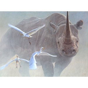 Black Thunder - charging Black Rhino by John Banovich