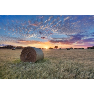 Hay Field by Rob Greebon