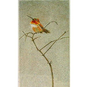 Rufous Hummingbird by Robert Bateman