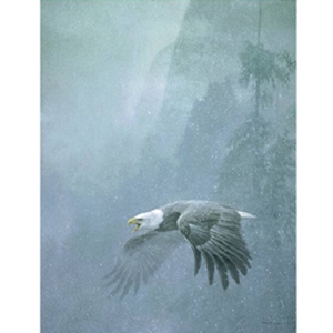 Vigilance - Bald Eagle by Robert Bateman