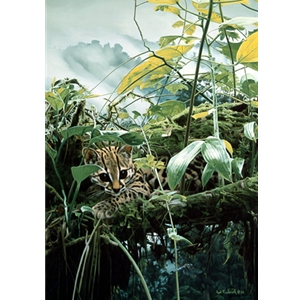 Dragon Slayer - Ocelot and Dragonfly by wildlife artist Rod Frederick