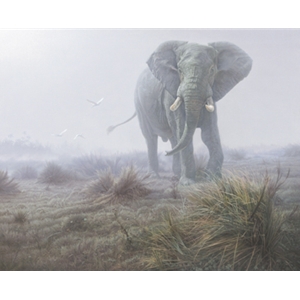 Denizen of the Mist - Elephant by Daniel Smith