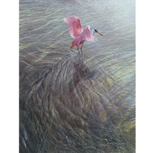As the Tide Turns - Roseate Spoonbill by wildlife artist Matthew Hillier