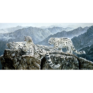 High Jinks - Snow Leopard by wildlife artist Matthew Hillier