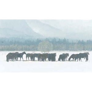 Winter Gathering Horse Herd by Robert Bateman