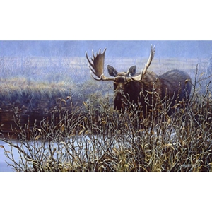 Cautious Approach - Bull Moose by artist Paco Young
