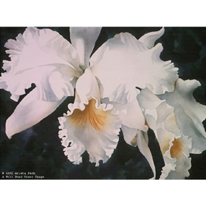 Orchid Magic by floral watercolor artist Arleta Pech