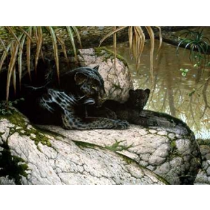 Black Satin - Black Leopard with cub by artist Guy Coheleach