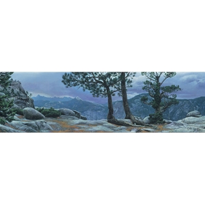 Yosemite Landscape by wilderness artist Stephen Lyman