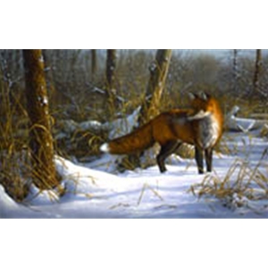Chance Encounter red fox by wildlife artist Jim Hautman