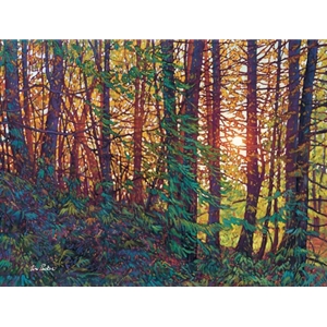 Tangled Forest - sun through trees by impressionist artist Tim Packer