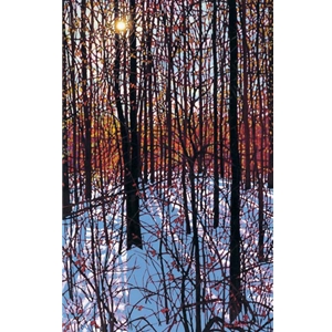 Sunlit Afternoon - Winter Woods by impressionist artist Tim Packer