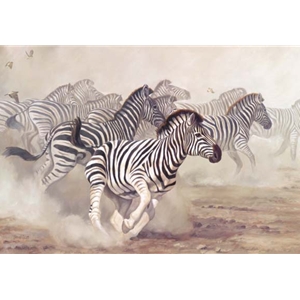 Skittish - Zebra Herd by wildlife artist Lindsay Scott