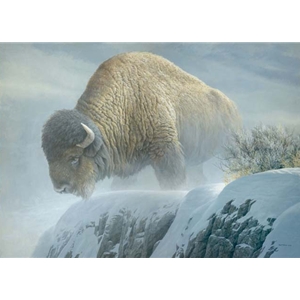 Winter Bison by Robert Bateman