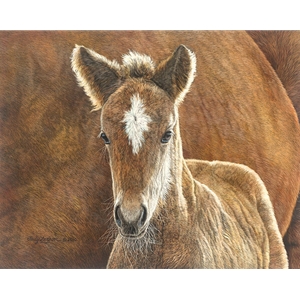 Wild in the Country - mare & foal by western artist Judy Larson