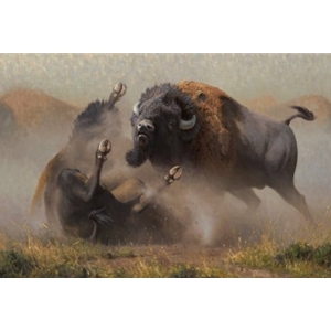 When the Dance Ends - battling bisons by western artist Kyle Sims