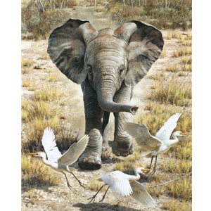 Flushing Egrets - elephant crossing dry grass by artist Carl Brenders