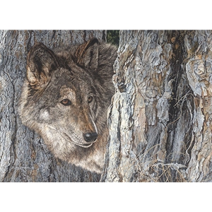Looking for Love - wolf by artist Judy Larson
