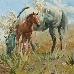 Springtime on the Llano Estacado - mare with colt by Bruce Greene