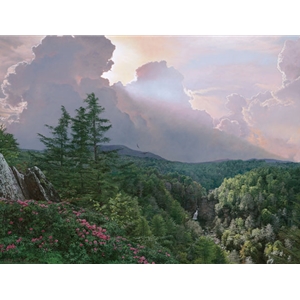 Where the Rhododendron Grow - mountain landscape by Phil Philbeck