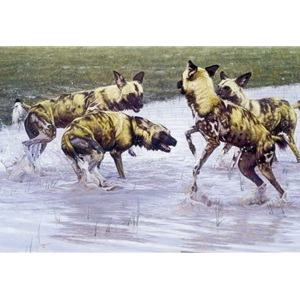 After the Rains - African Wild dogs by John Banovich