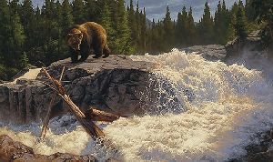 The Cascades - Grizzly bear at waterfall by wildlife artist Greg Beecham