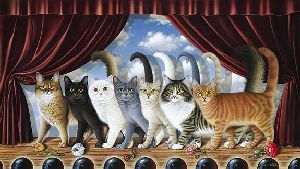 A Chorus Line  - cats curtain call by Braldt Bralds