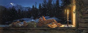 Evening Light by wilderness artist Stephen Lyman