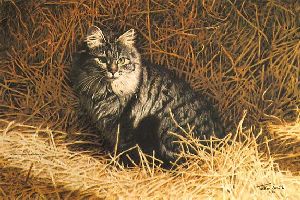 Barn Cat by western artist artist Tucker Smith