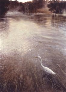 River of Grass - Egret by wildlife artist Matthew Hillier