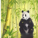 The Bamboo Forest by Robert Bissell