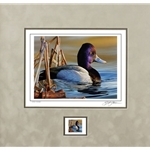 2021 Federal Duck Stamp COLLECTOR EDITION - Lesser Scaup by Richard Clifton