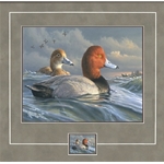 2022 Federal Duck Stamp COLLECTOR EDITION -  PRINT & STAMP ONLY - Pair of Redheads by James Hautman
