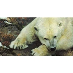 Top of the World - Polar Bear by wildlife artist Carl Brenders